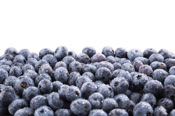 711263FD-91E5-4279-96C19E919EDD3B1D.png