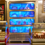 A metal container with four shelves, each visible through glass on the front, hold clusters of mushrooms illuminated by a bluish light.
