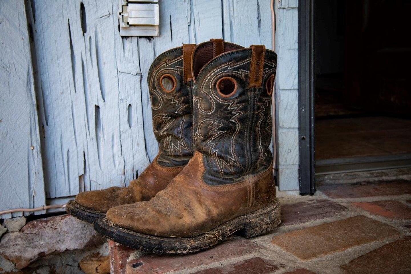 USDA%20BOOTS%205.jpg