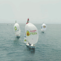 avocado regatta