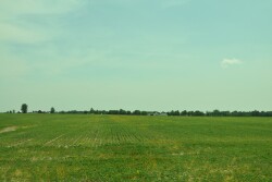 Healthy demand for a thin farmland market props up values 