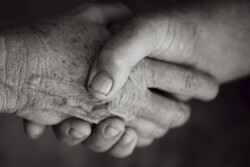Define family employment requirements for your operation 