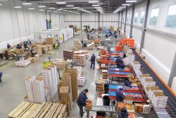 Business took a ‘pretty big hit’ this year at Des Moines, Iowa-based Capital City Fruit Co. Inc., where foodservice accounts for about 55% of sales, says Brendan Comito, chief operations officer. He credited government programs with helping the company get through the early days of the COVID-19 crisis. The company had a strong local summer season and will ship local winter squash during October, he says.