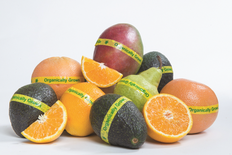 2D80328F-D7B9-4A27-89154E3D146A65C4.png