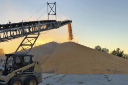 USDA reports stocks of corn, soybeans and wheat have fallen.