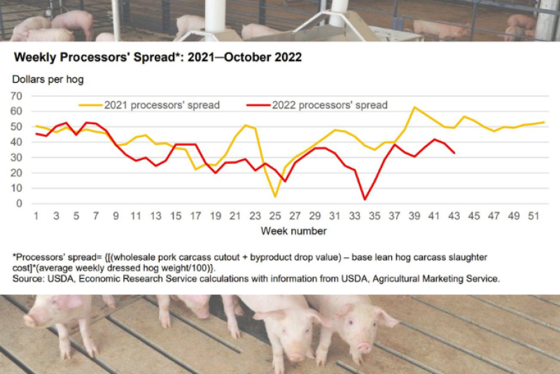 Pork Processors' Spreads 2021-22