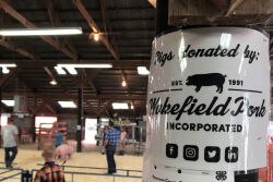 Wakefield Adopt A Pig Program