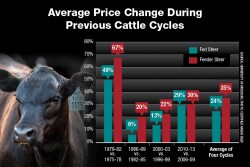 cycle price changes