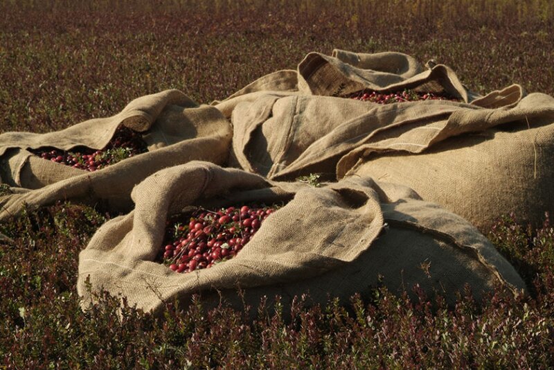 Cranberry sacks