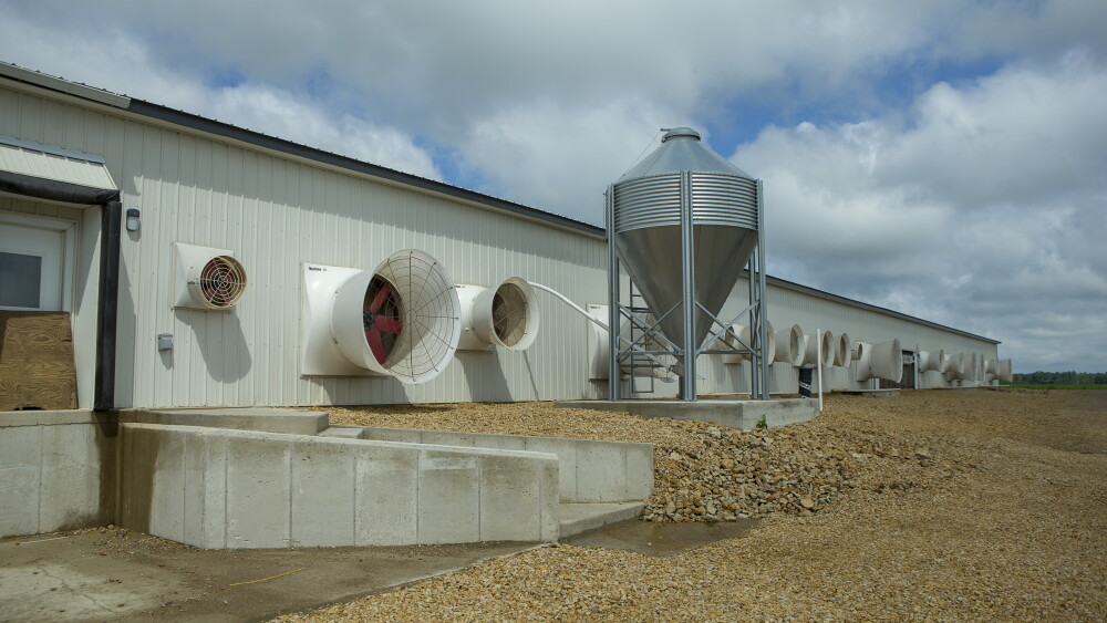 Outside a sow barn