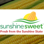sunshine-sweet.png