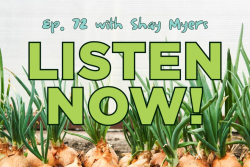 Listen Now graphic for tip of the iceberg podcast