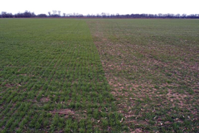 F11119 C hessian damage