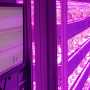  Crop One Holdings won a global award for its innovation in indoor growing.