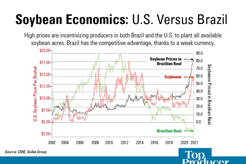 Soybean Economics