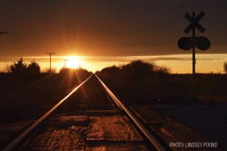 railroad train tracks sunset by Lindsey Pound