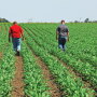 50% of farmers responded that they want input suppliers to maintain social distancing of at least 6' during on-farm visits. 
