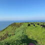 Pastorial dairy production in Scotland