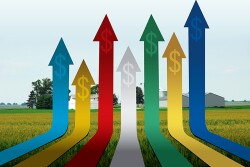 Farmland values