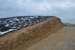 Heins Family Farms 03.JPG