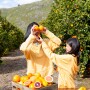 Citrus marketing. Photo courtesy Sunkist Growers