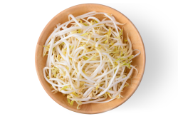 Soybean sprouts