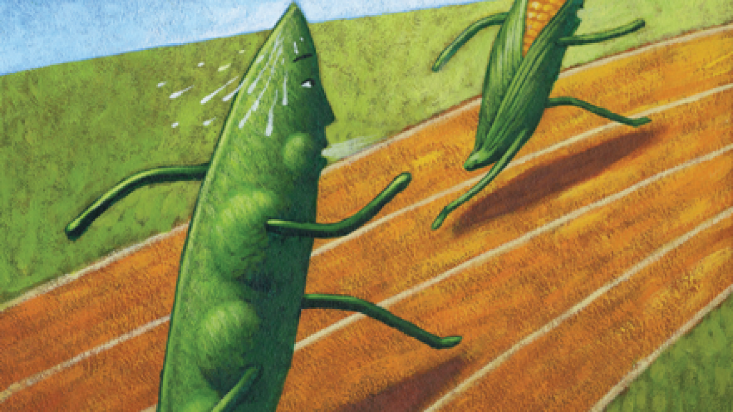 Bridge Payments And Big Yields Will Tilt 2026 To Corn