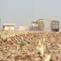 “A cover crop for crop insurance purposes, we have a broad definition, and it's generally many things that any crop that can be planted for erosion control, soil improvement, or any other type of conservation practice,” he told AgriTalk host Chip Flory. 