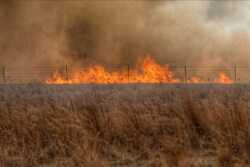 Wildfire