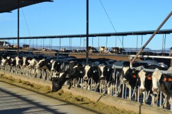 While a dairy has very little control over the announced price of milk, they do have control over their components. 