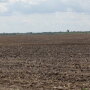 unplanted field