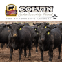 CAB Colvin Scholarships