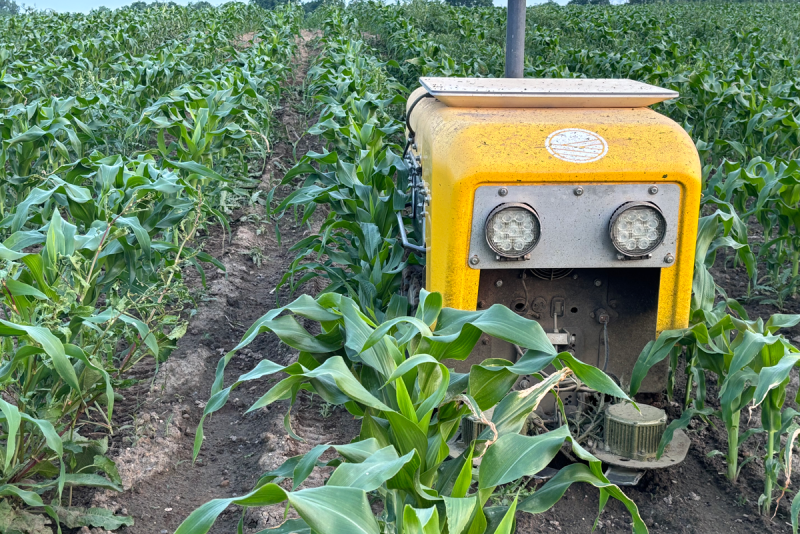 Greenfield Robotics A Robot on a Sweet Corn Label? How One Farm Showcases Agtech to ...