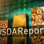 The next mark-moving round of USDA reports will be here on Tuesday, June 30. USDA will release its annual Acreage and quarterly Grain Stocks reports on Tuesday, June 30 at 11 a.m. CDT.