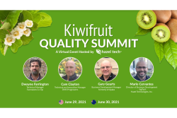 kiwi