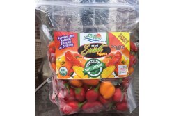 All of the products from All Seasons Fresh Produce LLC are packaged, says Eva Moghaddam, owner, president and CEO.