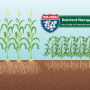 Nutrient Navigator Series