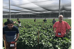Buyers got to see the operations of four Coachella Valley producers on the field tour.