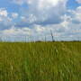 Cedar Vale Ranch