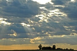Virtually all farm estate outcomes will compromise fairness and farm continuity, perhaps settling for equal dissatisfaction. John Phipps explains why. 