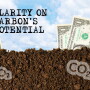 Consultants are being seen as an integral part of the technical service provider portion of any carbon trading program.