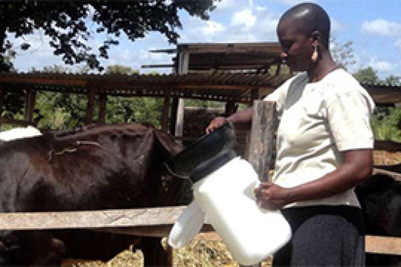 Nestle_-_Africa_dairy