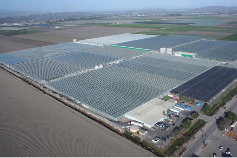 Camarillo nursery aerial shot