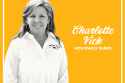 VICK_Charlotte_WiP_web.png