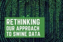 Swine Data