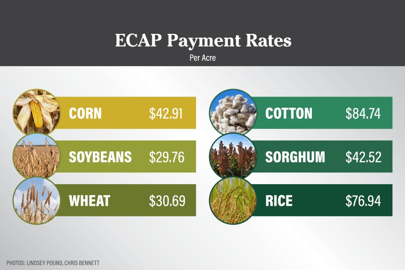 Here’s How Much You Can Receive Per Acre From $10 Billion USDA Payment ...