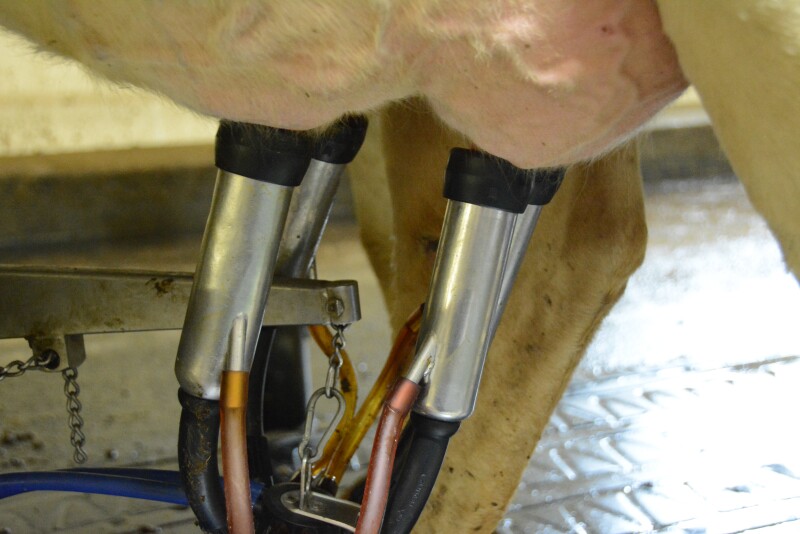 Detach milking units at the right time to avoid teat damage while still harvesting the most milk possible.