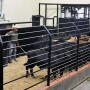 Auction