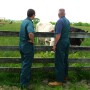 veterinary technician.jpg