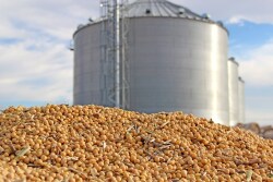 In the beef and soybean industries, refunds and assessments are part of the lifeblood of representative organizations.